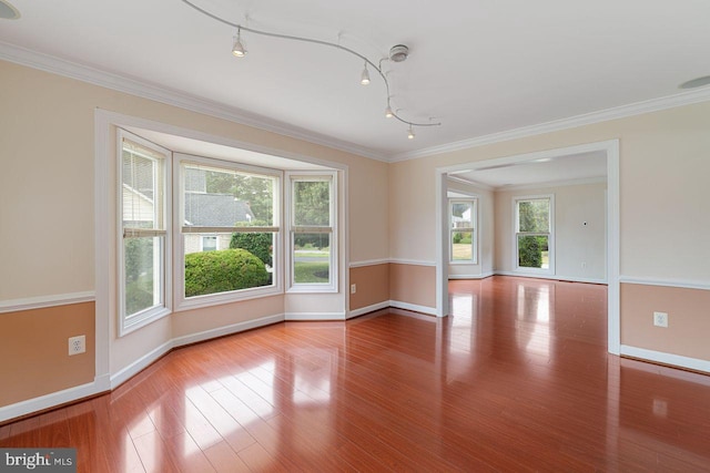 spare room with crown molding and light hardwood / wood-style floors