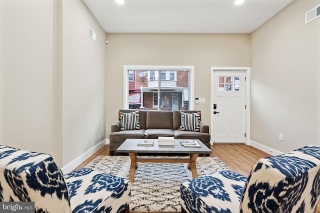 living room featuring light hardwood / wood-style floors and a wealth of natural light