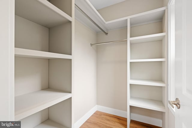 walk in closet featuring hardwood / wood-style floors