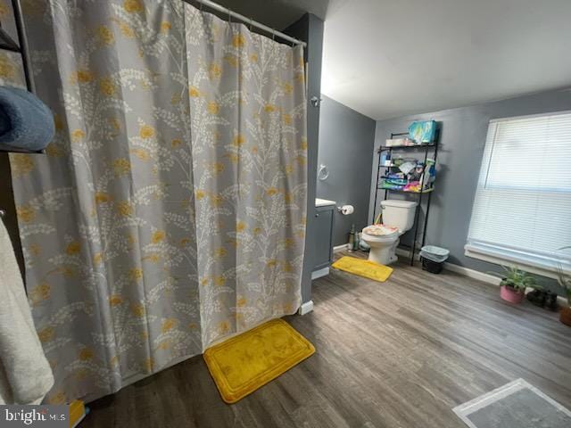 bathroom with hardwood / wood-style floors and toilet