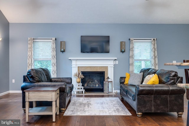 living room with dark hardwood / wood-style floors