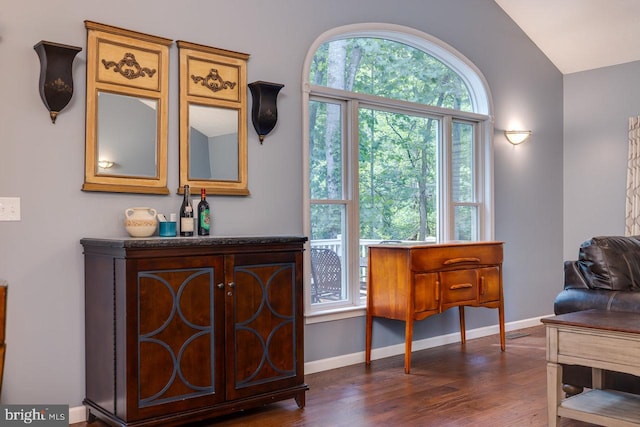 living area featuring vaulted ceiling and dark hardwood / wood-style flooring