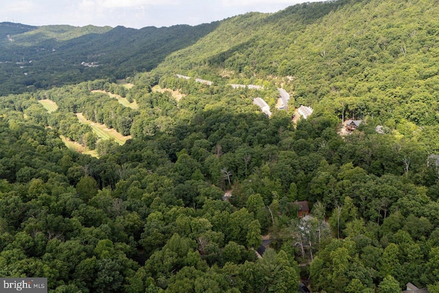 view of mountain feature