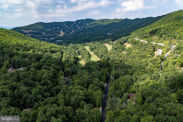 property view of mountains