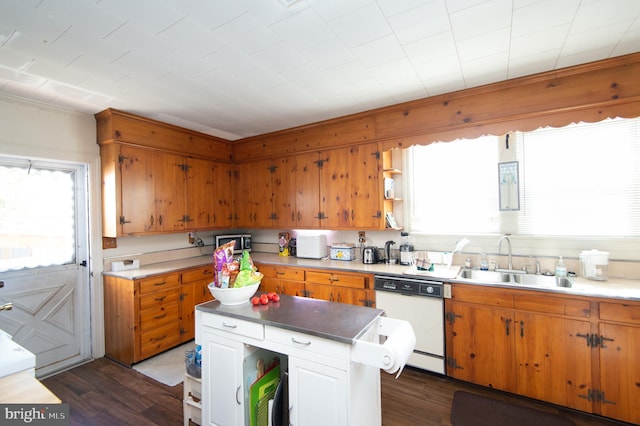 kitchen featuring dishwasher, dark hardwood / wood-style flooring, plenty of natural light, and sink