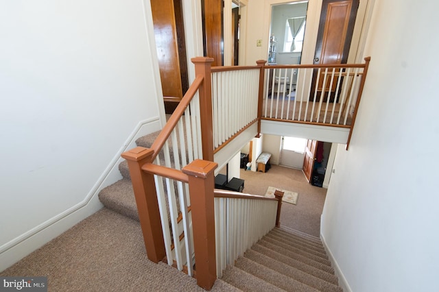 stairway with plenty of natural light and carpet floors