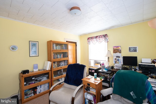 office featuring carpet flooring and ornamental molding