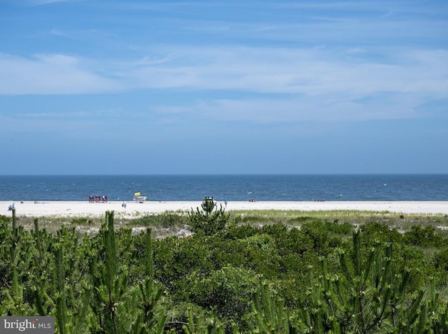 view of water feature featuring a beach view