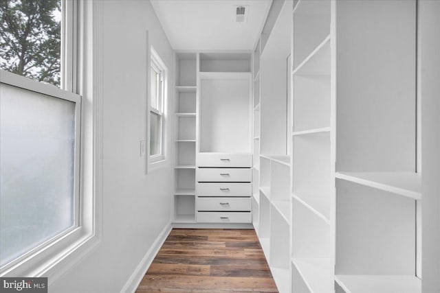 walk in closet with dark hardwood / wood-style flooring