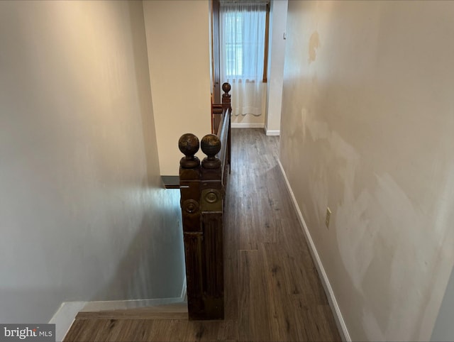 hall featuring hardwood / wood-style flooring