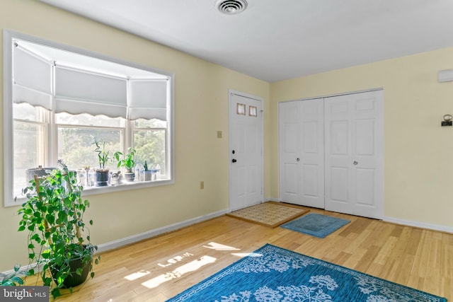 entryway featuring wood-type flooring