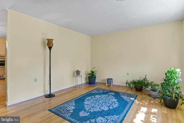 interior space featuring wood-type flooring