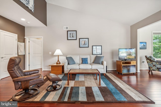 living room featuring lofted ceiling and dark wood-type flooring