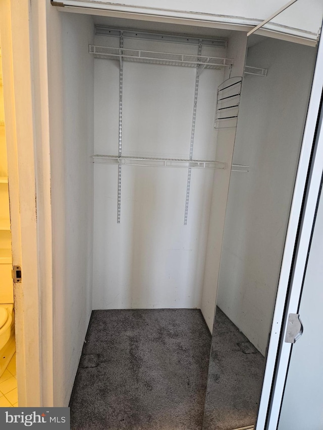 walk in closet featuring carpet floors