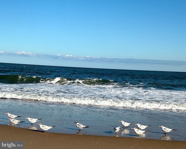 water view featuring a beach view