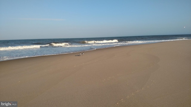 view of water feature with a view of the beach