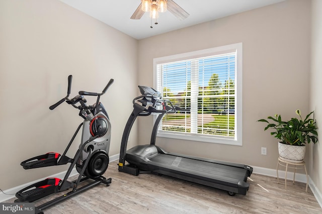 workout room with ceiling fan and light hardwood / wood-style flooring