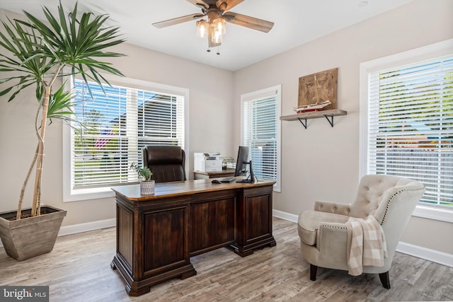 home office featuring ceiling fan, light hardwood / wood-style floors, and a wealth of natural light