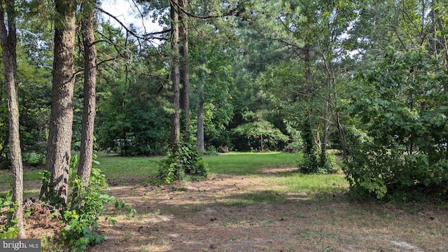 LOT34 Waterway Dr, Montross VA, 22520 land for sale