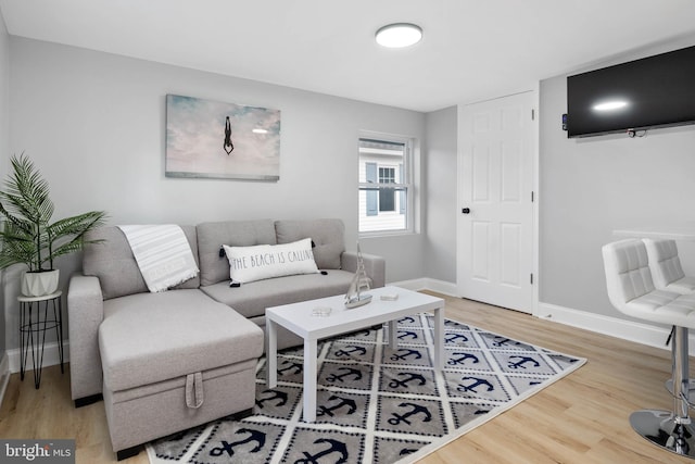 living room featuring wood-type flooring