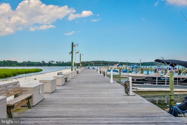 dock area with a water view