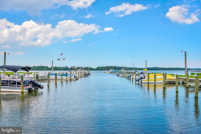 dock area featuring a water view