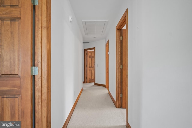 corridor with light carpet