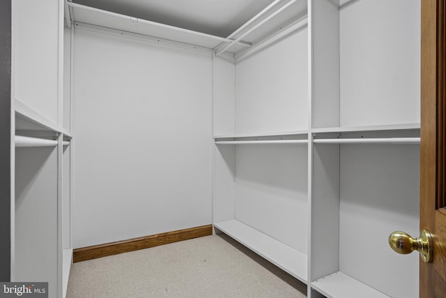 walk in closet with light carpet