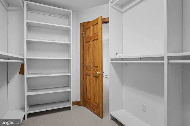 walk in closet with carpet floors