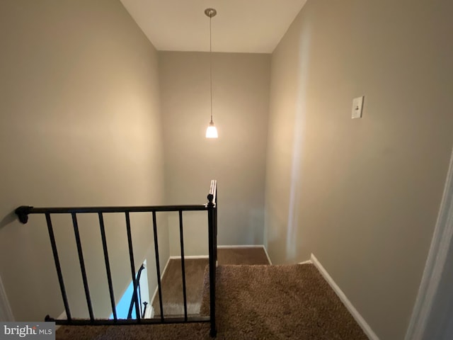 stairs featuring carpet floors