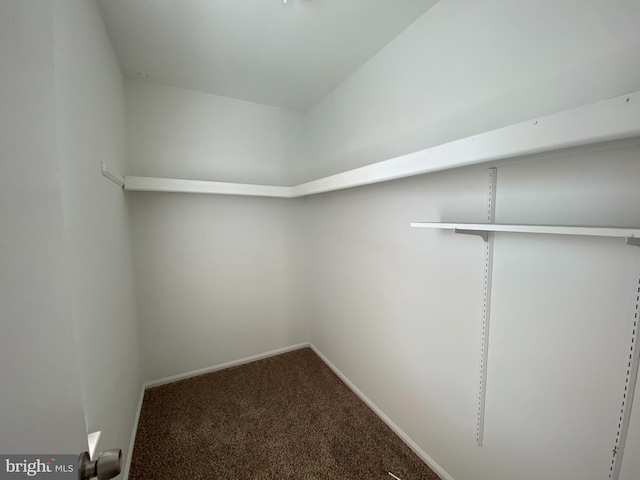 spacious closet featuring carpet flooring