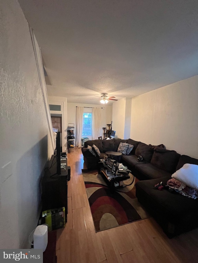 living room with ceiling fan and light hardwood / wood-style floors