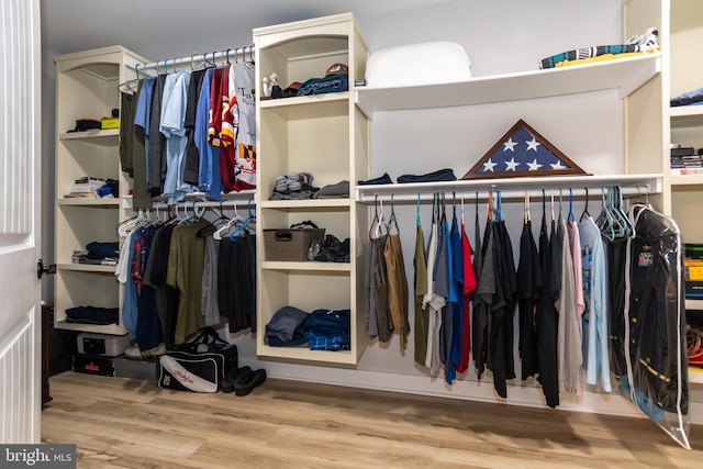 walk in closet with wood-type flooring