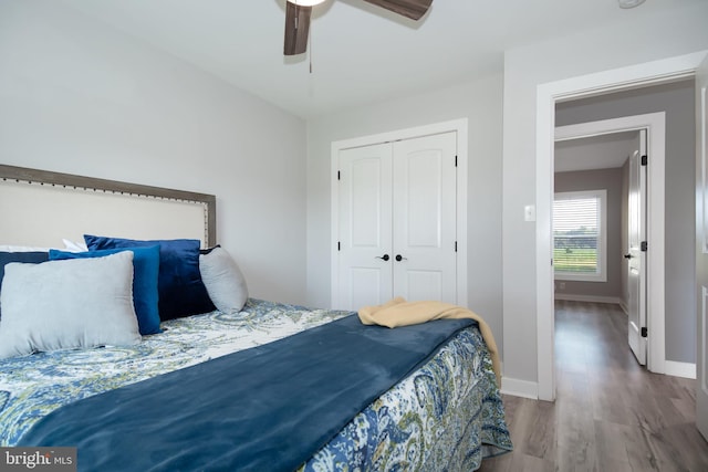 bedroom featuring ceiling fan, a closet, and hardwood / wood-style flooring