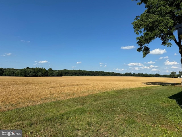 view of yard with a rural view