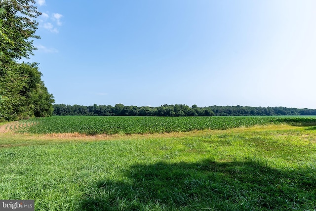 view of landscape featuring a rural view