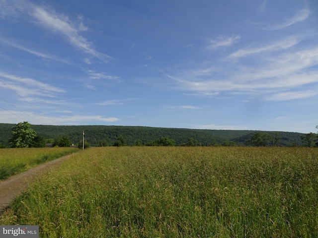 view of nature featuring a rural view