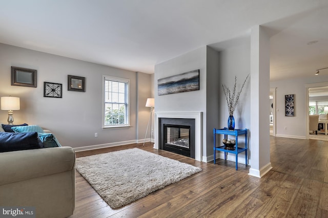 living room featuring dark hardwood / wood-style floors