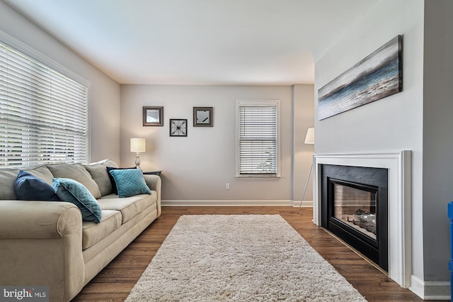 living room featuring dark hardwood / wood-style flooring