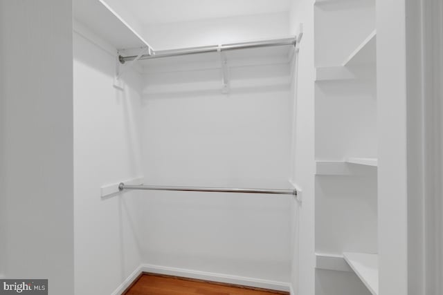 spacious closet with hardwood / wood-style floors