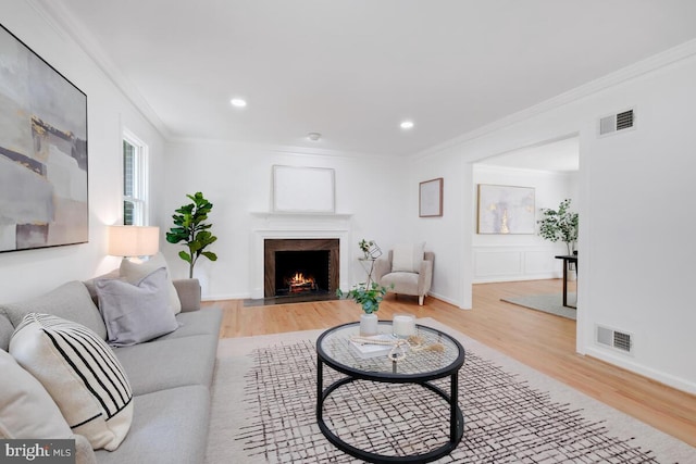 living room featuring light hardwood / wood-style floors and crown molding