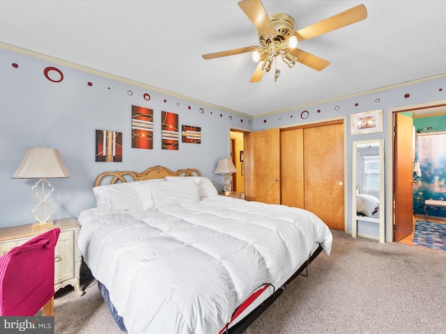 bedroom with carpet flooring, ceiling fan, a closet, and crown molding