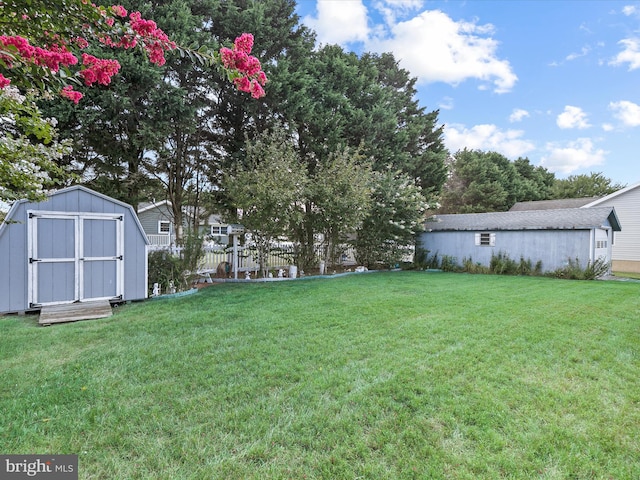 view of yard featuring a storage unit