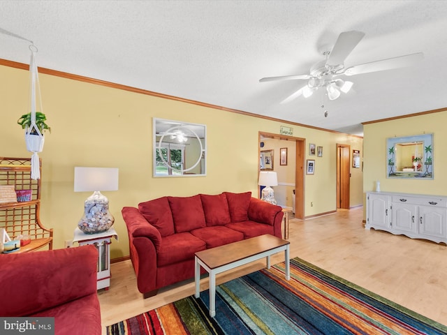 living room featuring a textured ceiling, light wood-type flooring, ceiling fan, and crown molding