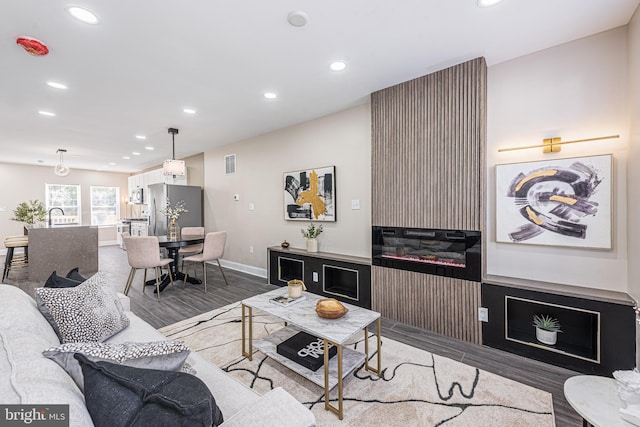 living room featuring sink and hardwood / wood-style flooring