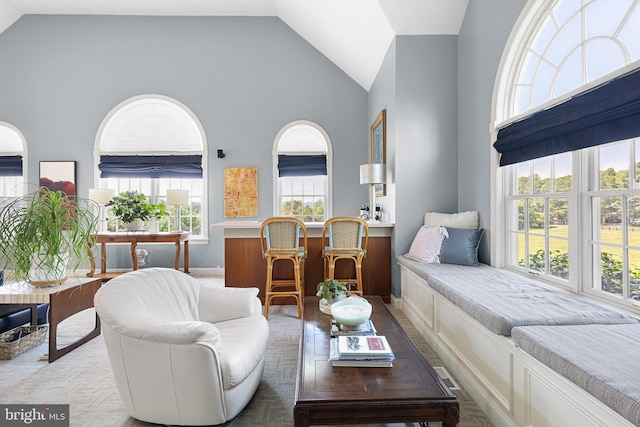 living room with high vaulted ceiling