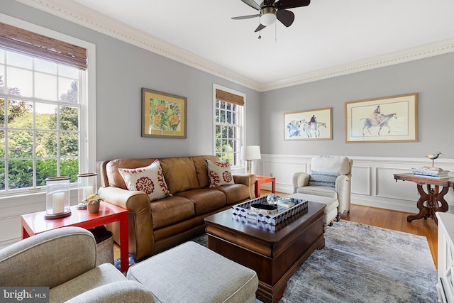 living room featuring hardwood / wood-style floors, ornamental molding, ceiling fan, and a healthy amount of sunlight