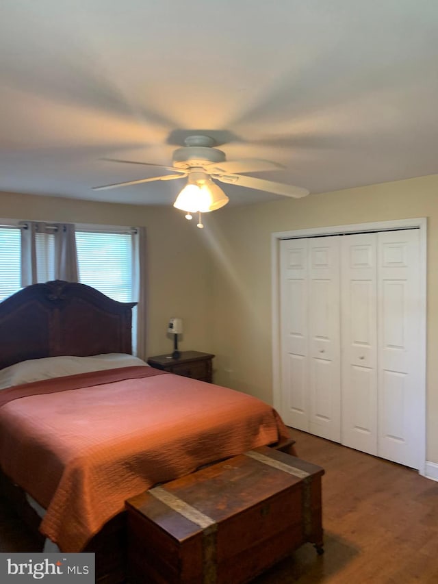 bedroom with a closet, ceiling fan, and hardwood / wood-style flooring