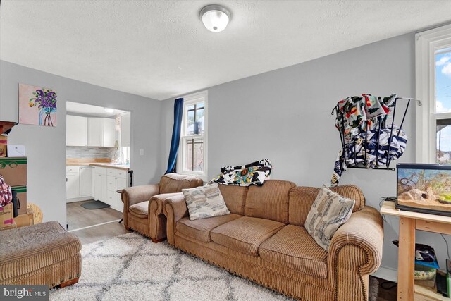 carpeted living room with sink and a textured ceiling
