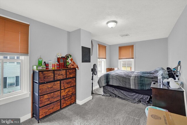 bedroom featuring multiple windows, light carpet, and a textured ceiling